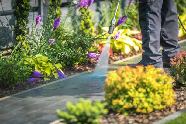 Best Concrete Surface Cleaning in Fort Belvoir, VA